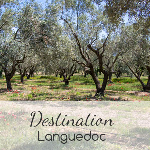 Languedoc-3