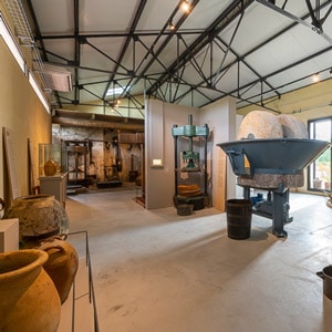 Musée de l'huile d'olive à Oppède