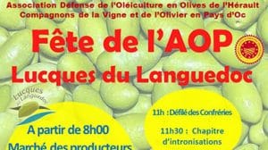 Fête de l'aop Lucques du Languedoc 2019
