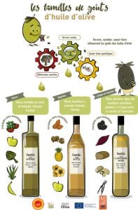 Poster sur les différents goûts des huiles d'olive de France