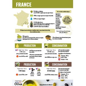 Huiles et olives, bonus, téléchargement, la France oléicole en 2023