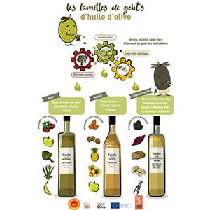 huiles et olives, bonus, téléchargement, les familles de goûts des huiles d'olive