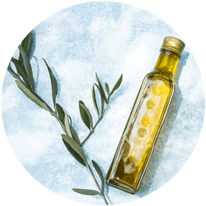 huiles et olives, dégustation, les huiles d'olive AOP françaises, huile d'olive de Haute-Provence AOP