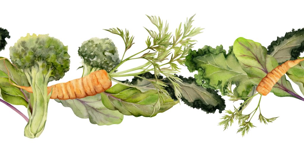 Illustration légumes