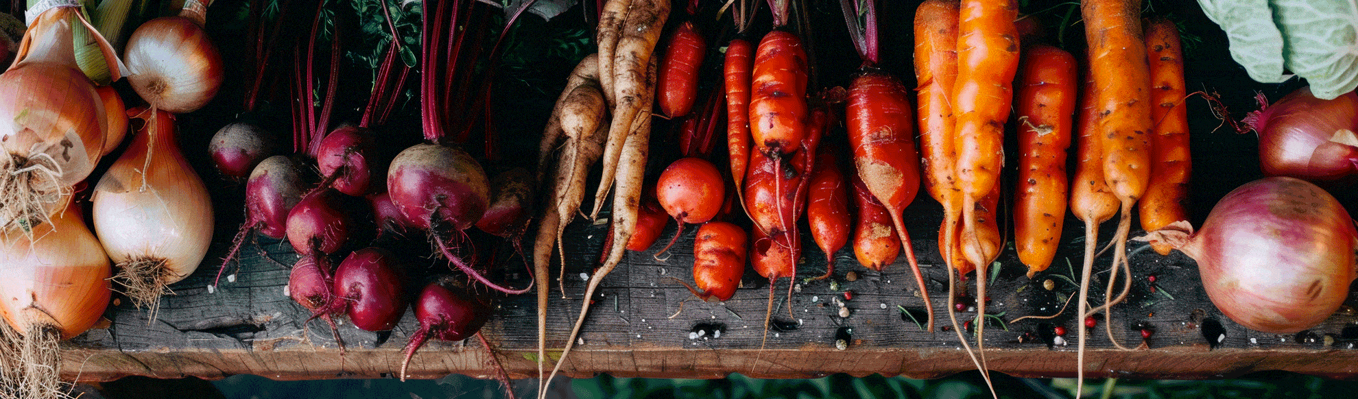 Des rangées vibrantes de légumes fraîchement récoltés, disposés sur une table, comprenant divers types de carottes, betteraves et oignons. Les produits sont regroupés par type et par couleur, créant une présentation visuellement attrayante et organisée de la généreuse récolte de la ferme.