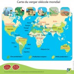 Carte-verger-oléicole-mondial